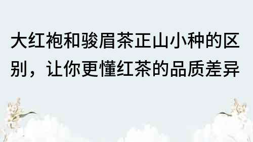 大红袍和骏眉茶正山小种的区别，让你更懂红茶的品质差异