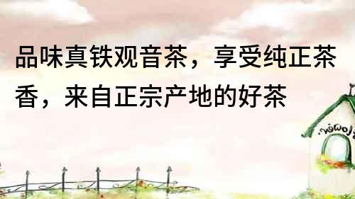 品味真铁观音茶，享受纯正茶香，来自正宗产地的好茶
