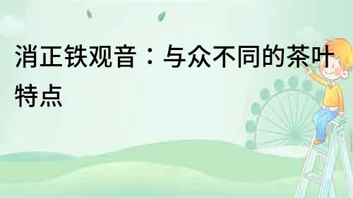 消正铁观音：与众不同的茶叶特点