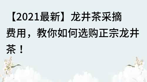 【2022最新】龙井茶采摘费用，教你如何选购正宗龙井茶！