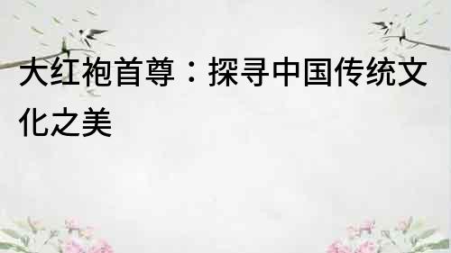 大红袍首尊：探寻中国传统文化之美