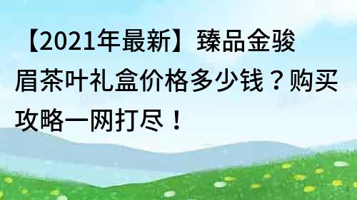 【2021年最新】臻品金骏眉茶叶礼盒价格多少钱?购买攻略一网打尽!