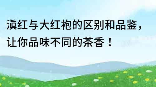 滇红与大红袍的区别和品鉴，让你品味不同的茶香！