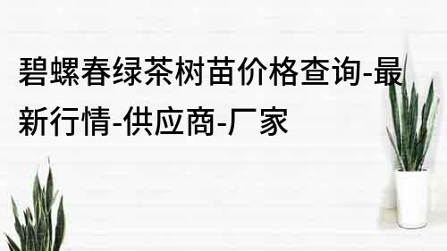 碧螺春绿茶树苗价格查询-最新行情-供应商-厂家