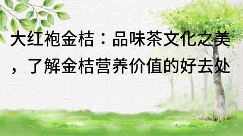 大红袍金桔：品味茶文化之美，了解金桔营养价值的好去处