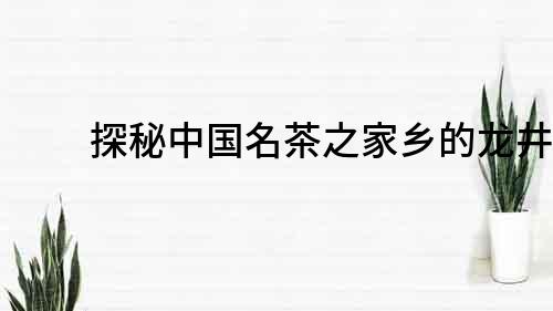探秘中国名茶之家乡的龙井茶