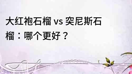 大红袍石榴 vs 突尼斯石榴：哪个更好？