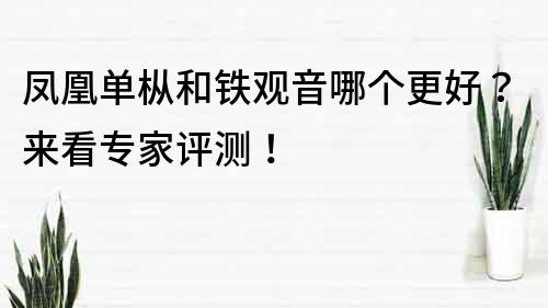 凤凰单枞和铁观音哪个更好？来看专家评测！