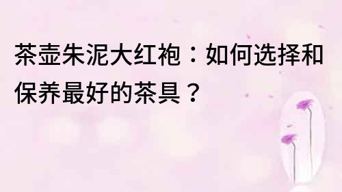 茶壶朱泥大红袍：如何选择和保养最好的茶具？