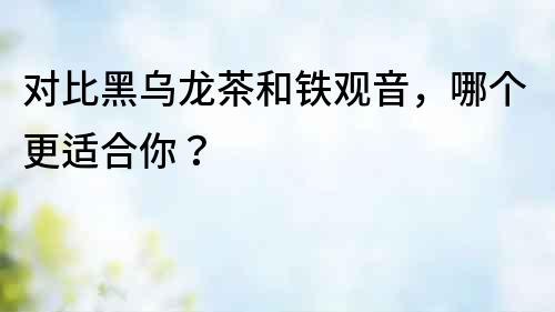 对比黑乌龙茶和铁观音，哪个更适合你？