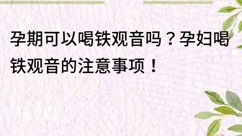 孕期可以喝铁观音吗？孕妇喝铁观音的注意事项！