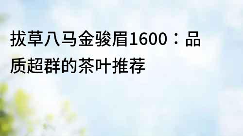 拔草八马金骏眉1600：品质超群的茶叶推荐