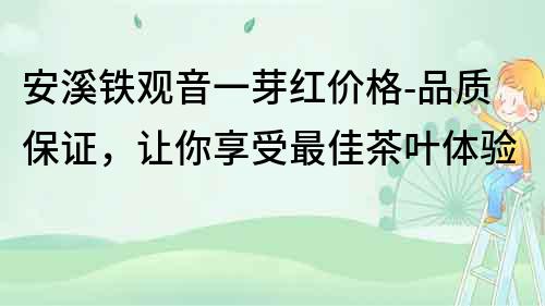 安溪铁观音一芽红价格-品质保证，让你享受最佳茶叶体验