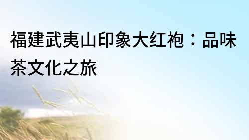 福建武夷山印象大红袍：品味茶文化之旅