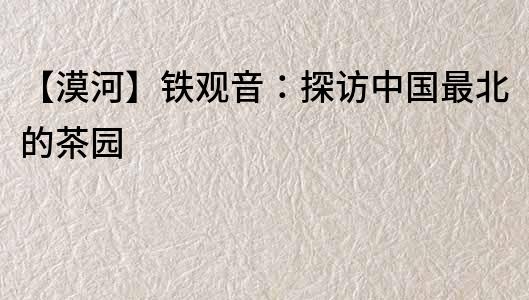 【漠河】铁观音：探访中国最北的茶园