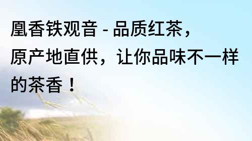 凰香铁观音 - 品质红茶，原产地直供，让你品味不一样的茶香！