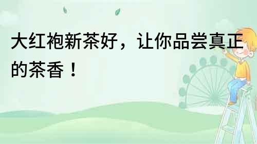 大红袍新茶好，让你品尝真正的茶香！