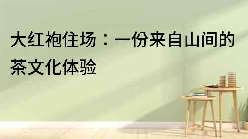 大红袍住场：一份来自山间的茶文化体验