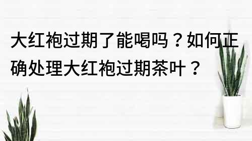 大红袍过期了能喝吗？如何正确处理大红袍过期茶叶？