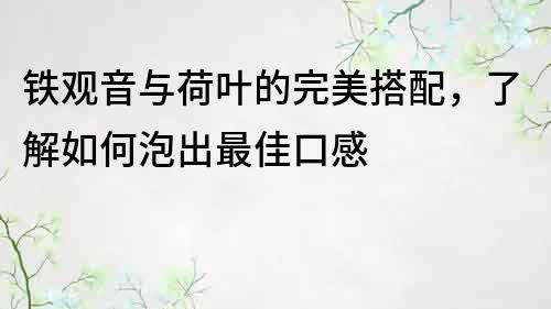 铁观音与荷叶的完美搭配，了解如何泡出最佳口感