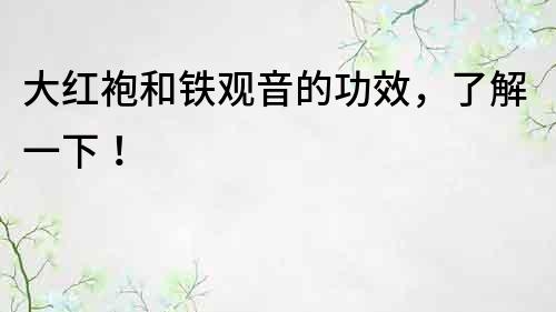 大红袍和铁观音的功效，了解一下！