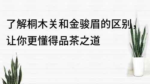 了解桐木关和金骏眉的区别，让你更懂得品茶之道