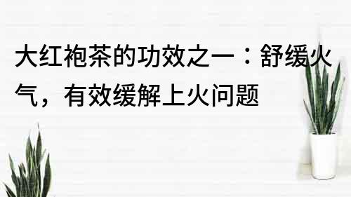 大红袍茶的功效之一：舒缓火气，有效缓解上火问题