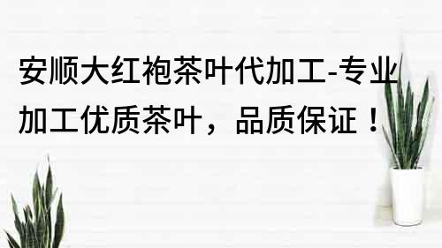 安顺大红袍茶叶代加工-专业加工优质茶叶，品质保证！