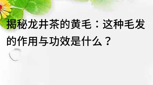 揭秘龙井茶的黄毛：这种毛发的作用与功效是什么？