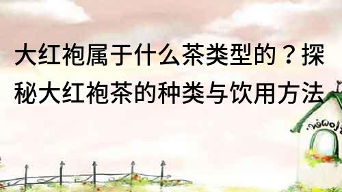 大红袍属于什么茶类型的？探秘大红袍茶的种类与饮用方法