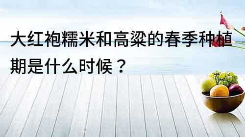 大红袍糯米和高粱的春季种植期是什么时候？