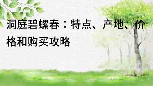 洞庭碧螺春：特点、产地、价格和购买攻略