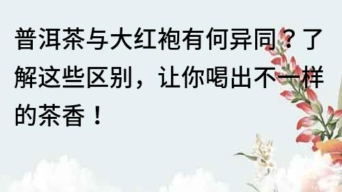 普洱茶与大红袍有何异同？了解这些区别，让你喝出不一样的茶香！