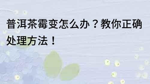 普洱茶霉变怎么办？教你正确处理方法！