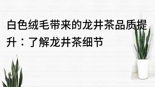 白色绒毛带来的龙井茶品质提升：了解龙井茶细节