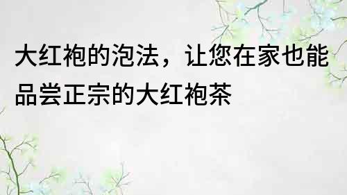 大红袍的泡法，让您在家也能品尝正宗的大红袍茶