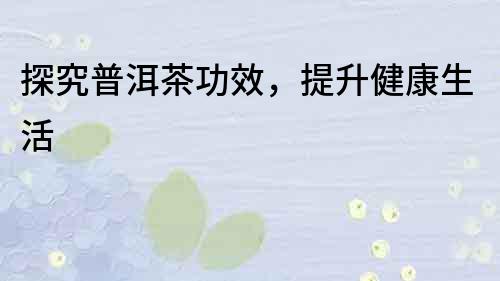 探究普洱茶功效，提升健康生活