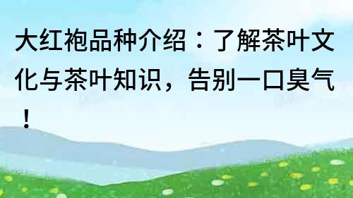 大红袍品种介绍：了解茶叶文化与茶叶知识，告别一口臭气！