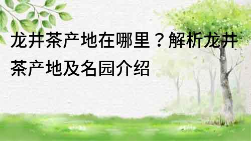 龙井茶产地在哪里？解析龙井茶产地及名园介绍