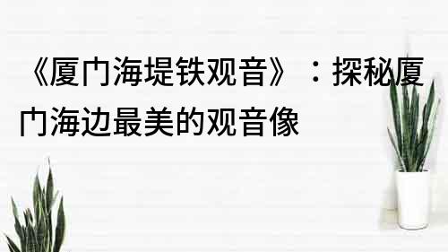 《厦门海堤铁观音》：探秘厦门海边最美的观音像