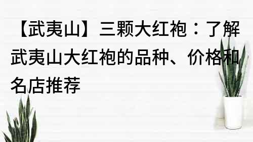 【武夷山】三颗大红袍：了解武夷山大红袍的品种、价格和名店推荐