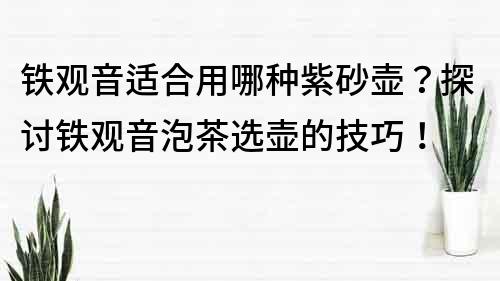 铁观音适合用哪种紫砂壶？探讨铁观音泡茶选壶的技巧！