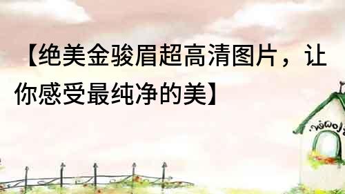 【绝美金骏眉超高清图片，让你感受最纯净的美】