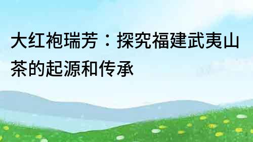 大红袍瑞芳：探究福建武夷山茶的起源和传承