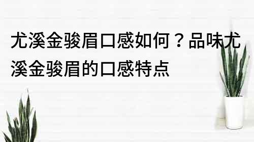 尤溪金骏眉口感如何？品味尤溪金骏眉的口感特点