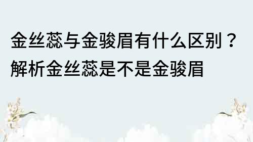 金丝蕊与金骏眉有什么区别？解析金丝蕊是不是金骏眉