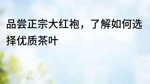 品尝正宗大红袍，了解如何选择优质茶叶
