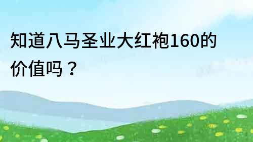 知道八马圣业大红袍160的价值吗？