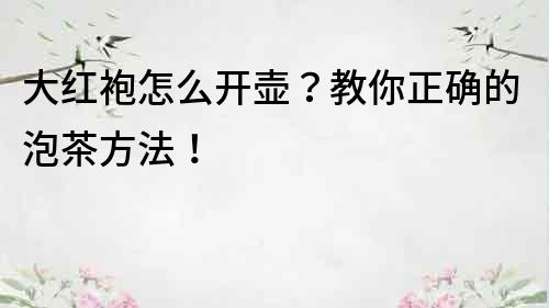 大红袍怎么开壶？教你正确的泡茶方法！