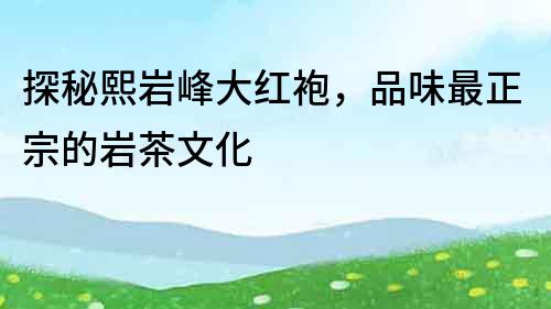 探秘熙岩峰大红袍，品味最正宗的岩茶文化